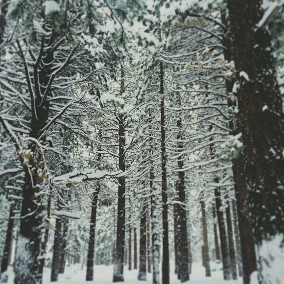 Meet your Posher, Stephanie - Picture 1 of 1